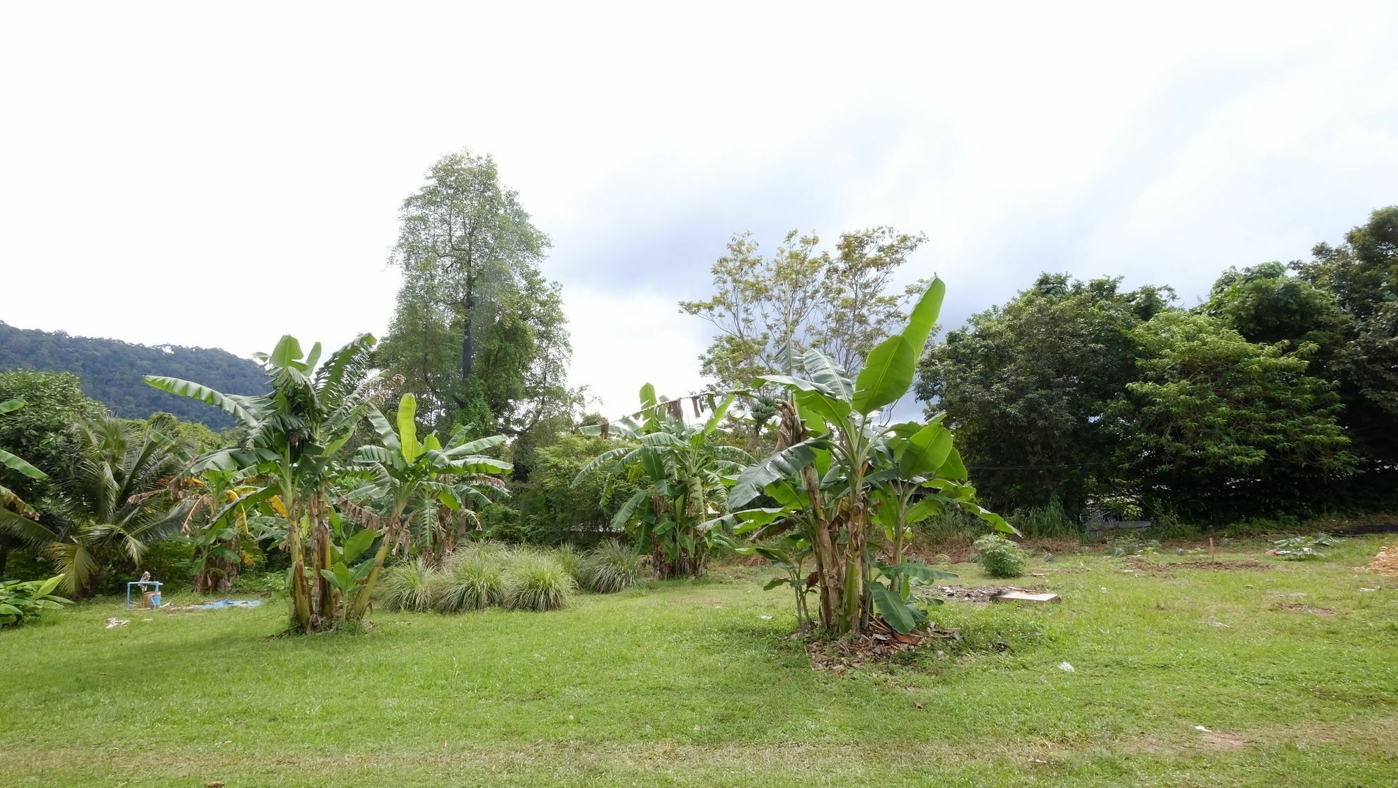 Hassana Garden Home Ko Lanta المظهر الخارجي الصورة